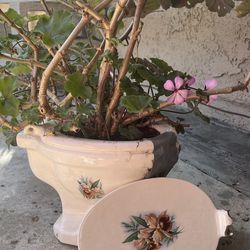 Unique flower Pot! With plants pink Geraniums