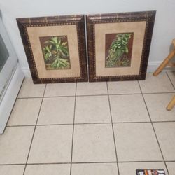 Framed Pictures 