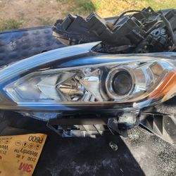 Partes De Altima Luses Del Lado Isquietdo Y Derecho