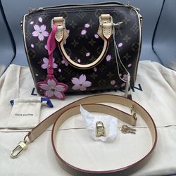 Louis Vuitton Takashi Murakami, cherry blossom speedy
