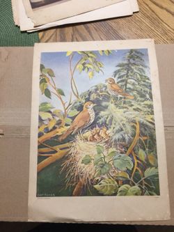 1952 beginners teaching picture