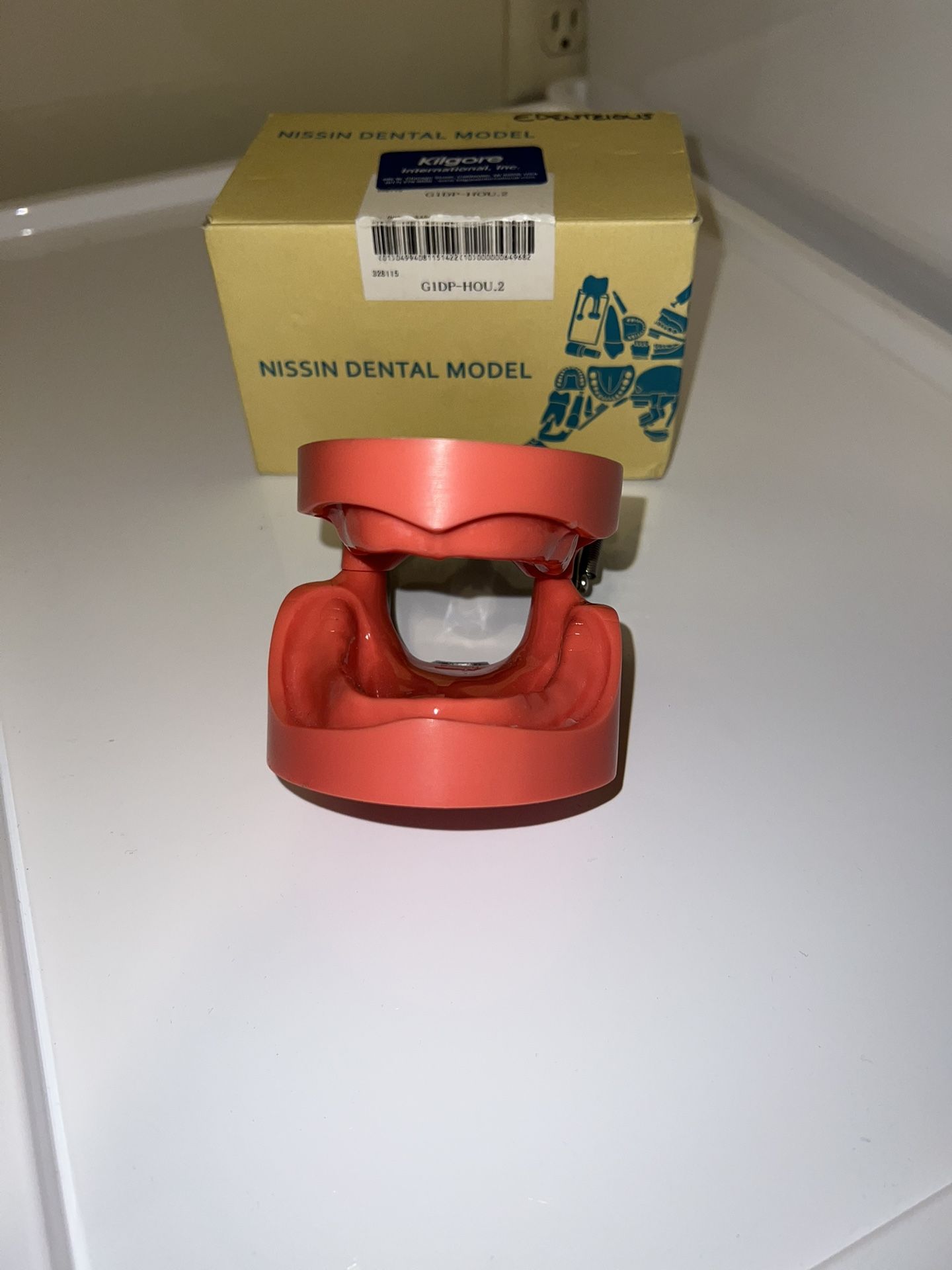 Edentulous Dental Model
