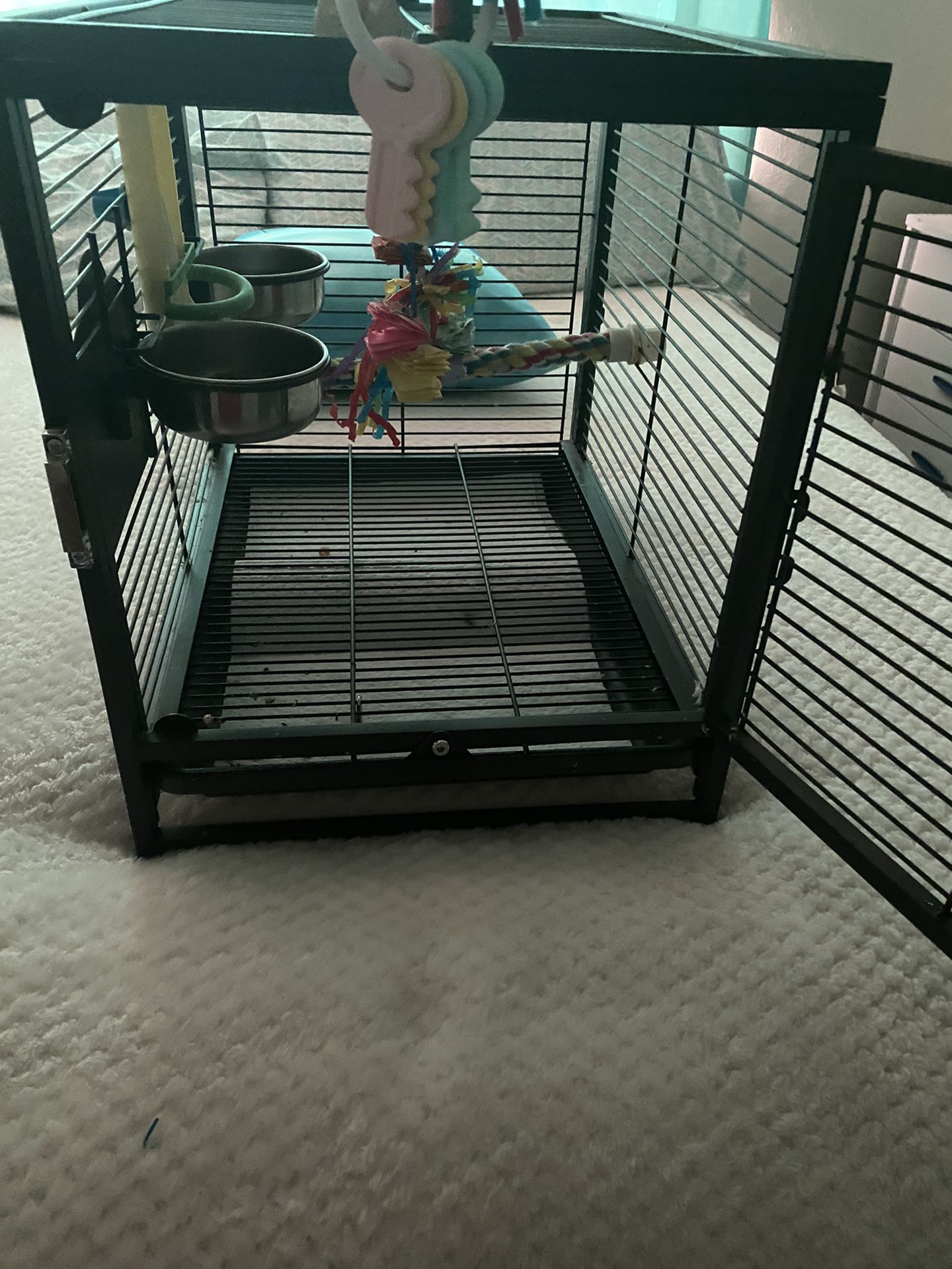 Parrot travel cage
