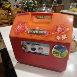 New Igloo Cooler East Mesa