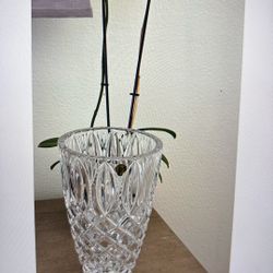 Waterford Grant Case 25.44 Lead Crystal  