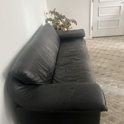 Leather Sofa