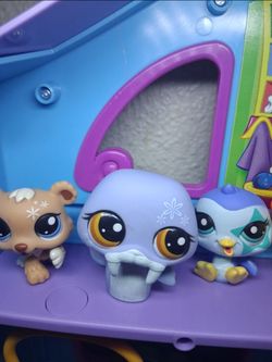 Littlest pet shop- lot of 6