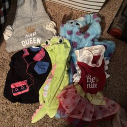Dog Clothes Harnesses And A Brand New Dog Pool