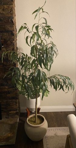 Artificial Indoor Tree