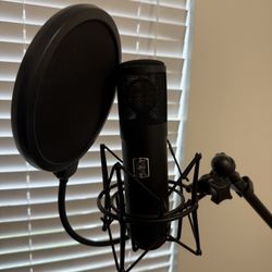 Slate Digital ML-1 Microphone 