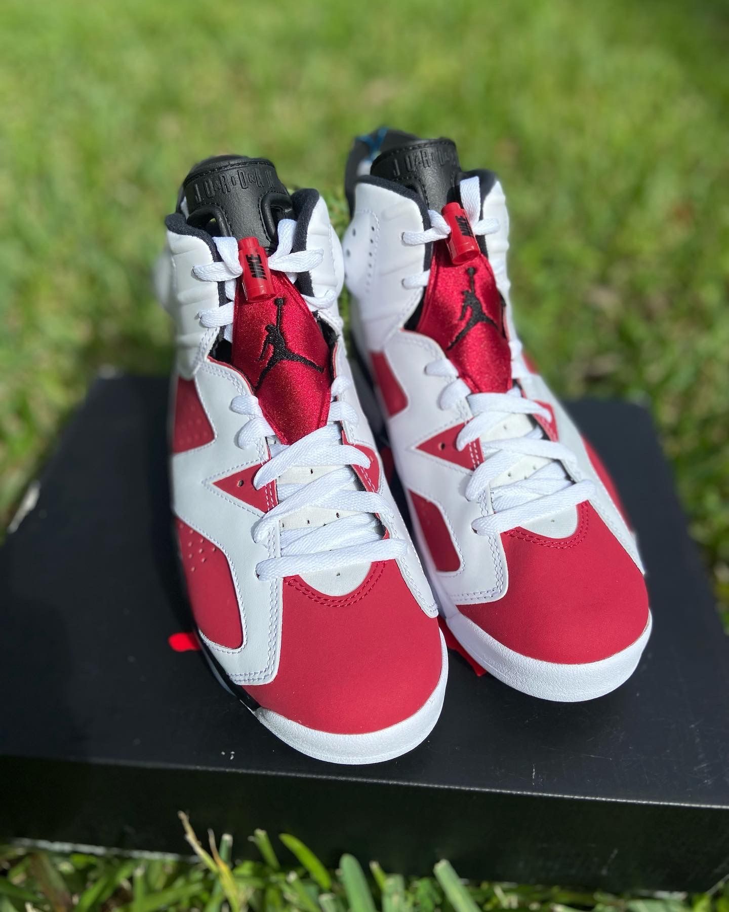 NEW Air Jordan Retro 6 Carmine Size 7 Men - infinityhomeware.co.za display picture 1