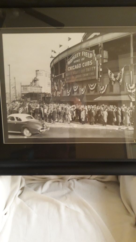 Framed Wrigley Field Cubs vintage style picture