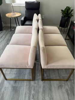 Dining Chairs