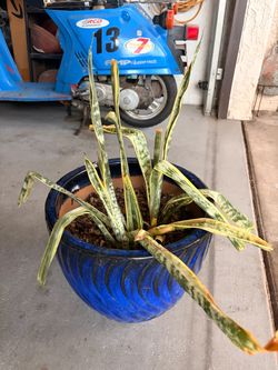 Blue Glazed Ceramic Pot