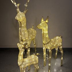 Reindeer Christmas Set 3 Pieces 