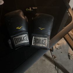 Boxing Gloves 12 Ounces 