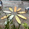Board Digger