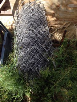 Small of chain link fence