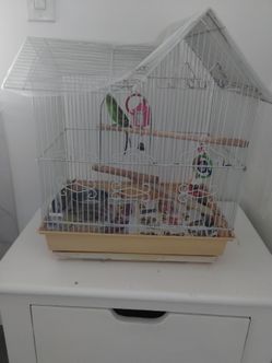 Jaula para pájaros con periquito incluído