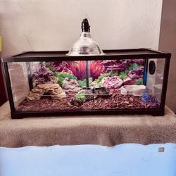 Habitat 20 gallon
