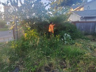 Avs Contractor