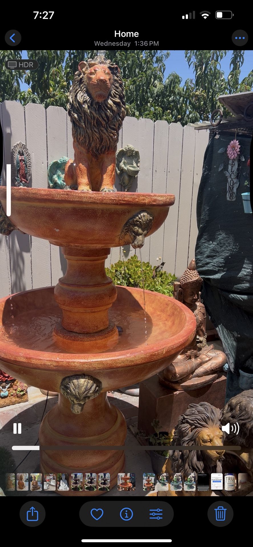 Lions Fountain 