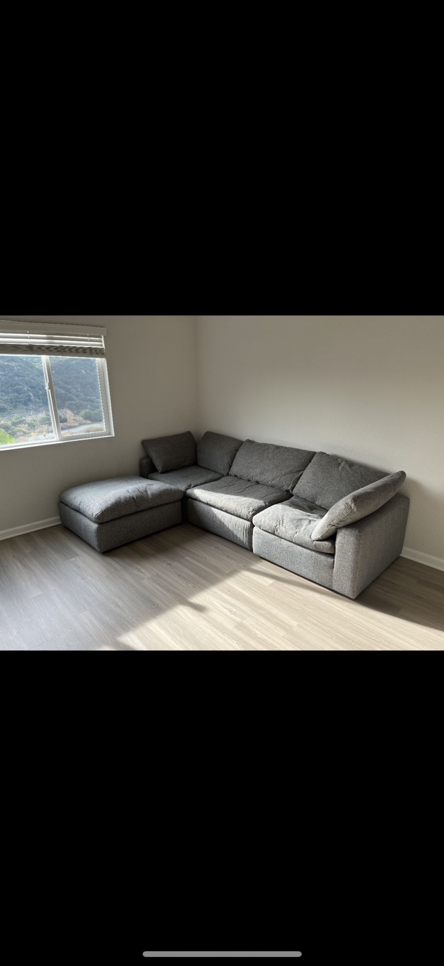 Sectional Couch - Free