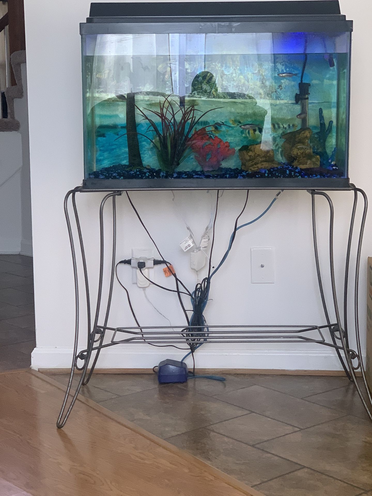 Fish Tank And Stand (Comes With Fish)