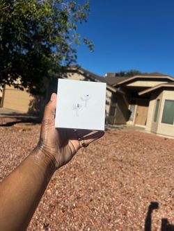 Air pod pros