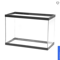 40 Gallon Fish Tank