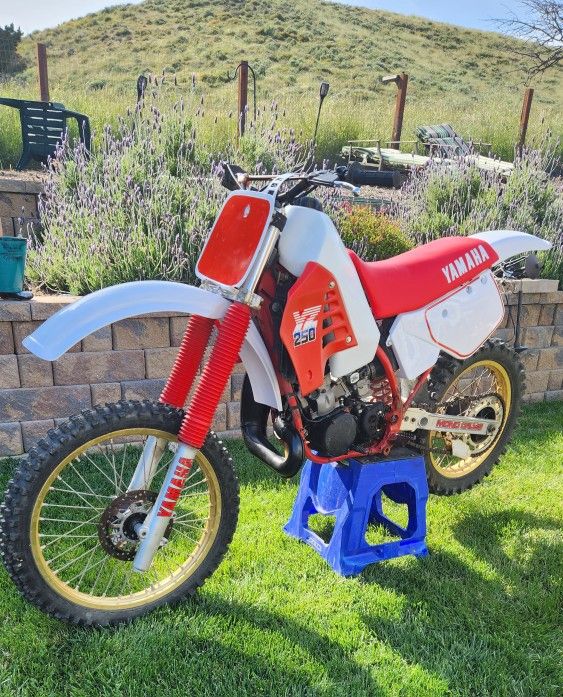 1986 yamaha yz250 for sale
