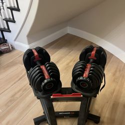 Bowflex Adjustable Dumbbell Weights with Stand