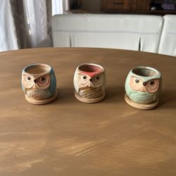 Tiny Owl Starter Pots