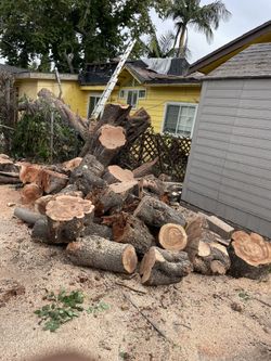 Free Firewood