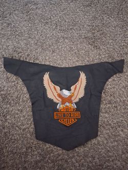 Leather Vest Back Panel Live To Ride Eagle Patch