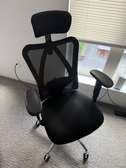 Move Out Sale: Sihoo Ergonomic Office Chair