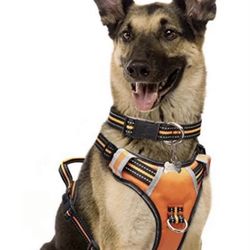 Dog Harness