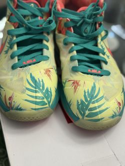 Nike Lebron One X Low