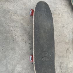 Santa Cruz Cruzer Board
