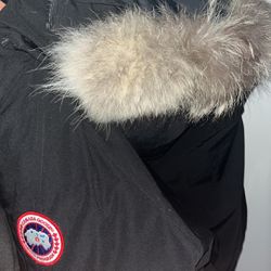 Canada Goose Jacket (STEAL PRICE)