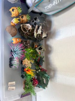 Fish decor