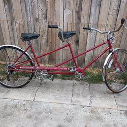 Schwinn Double Seater