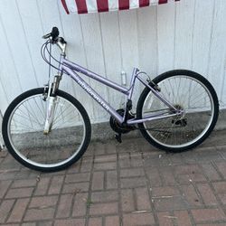 Roadmaster MTB