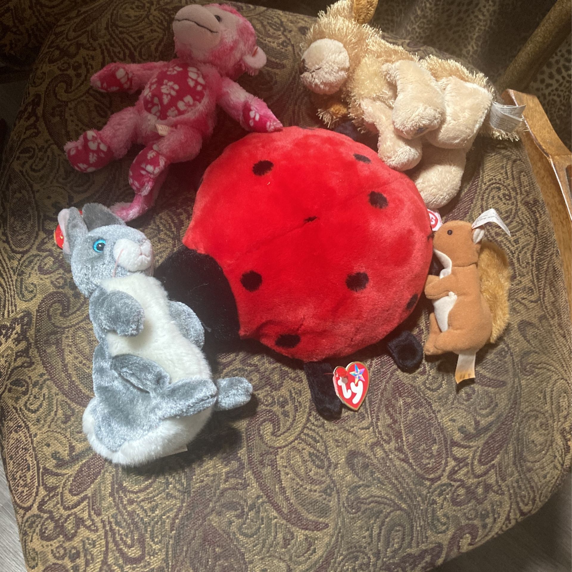 Set of  Small Stuffed Animals