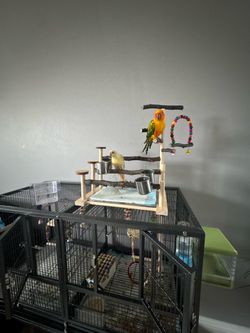 Bird cage