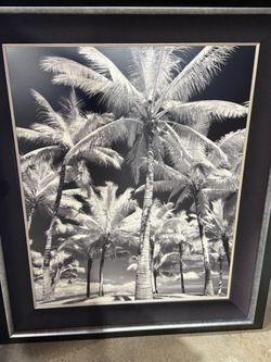 Framed Black and White Palm Tree Wall Art