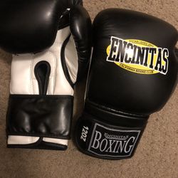 Boxing Gloves 