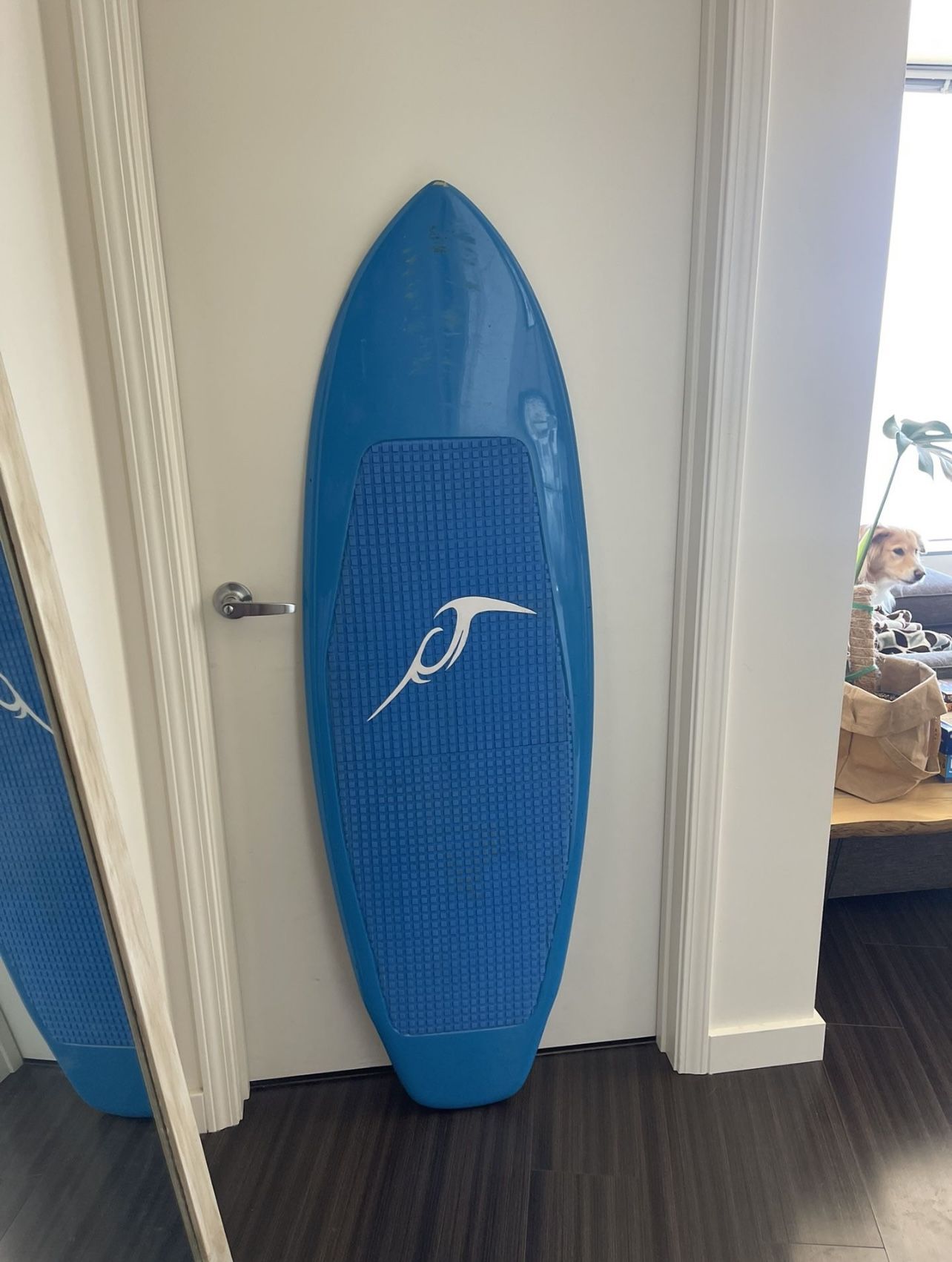 Inland Surfer Blue Lake Wake Surf Board