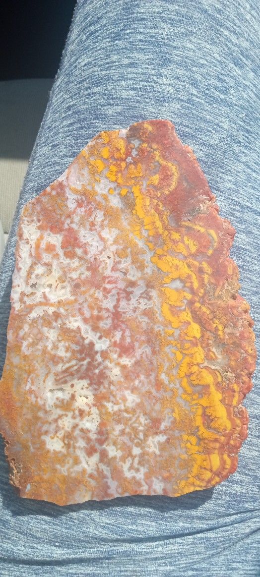 Ocean Jasper 