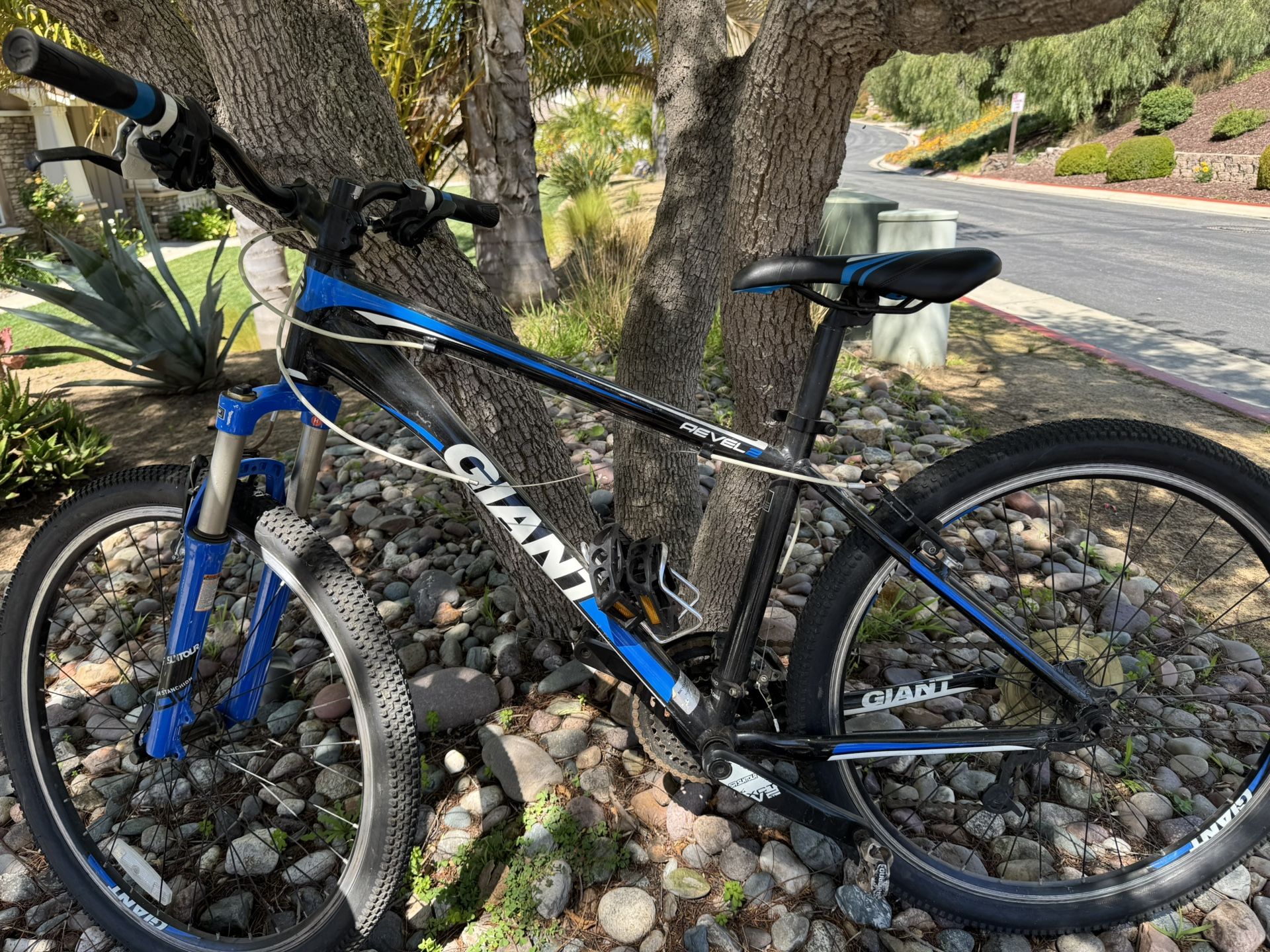 Giant Bike